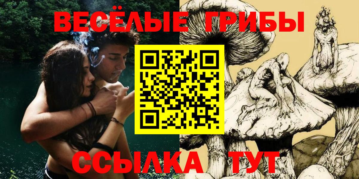 продажа наркотиков  Вход с VPN  Псков  Галлюциногенные грибы MAGIC MUSHROOMS  Галлюциногенные грибы ЛСД 